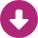 Download Icon